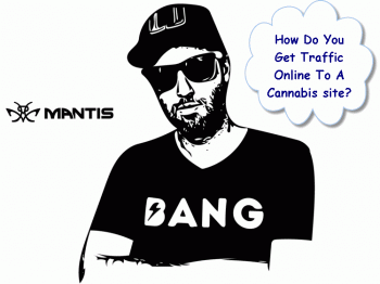 How Do You Get Traffic To A Weed Site?