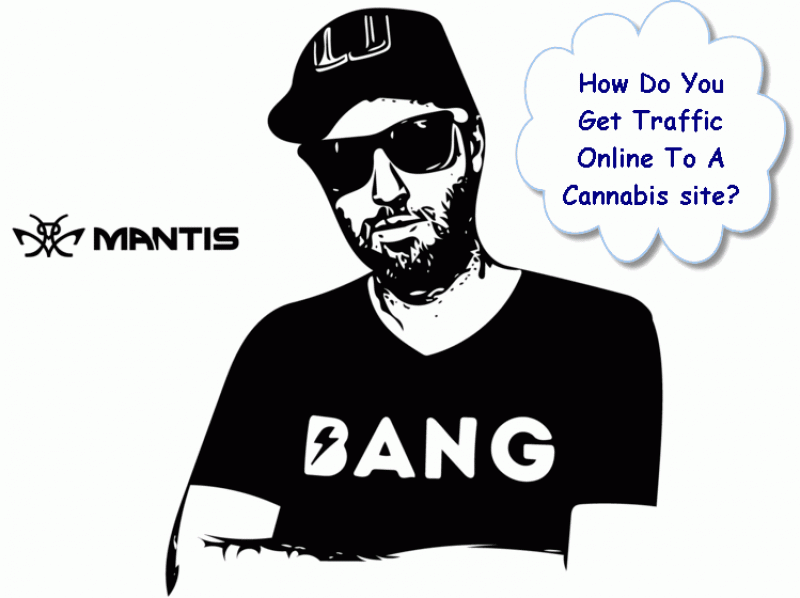 How Do You Get Traffic To A Marijuana Site?