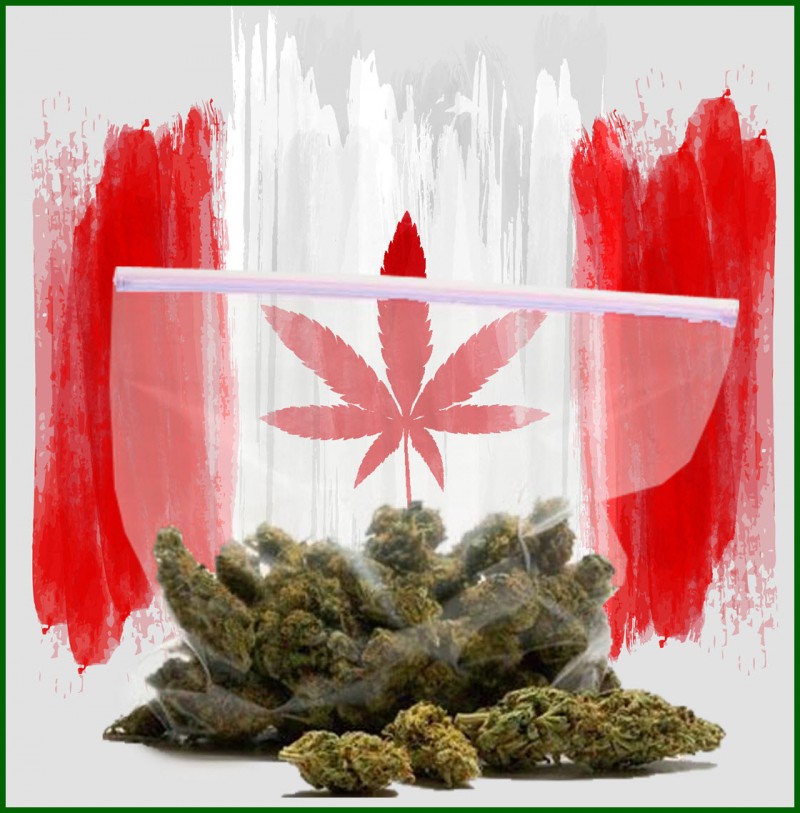Canadian marijuana sales