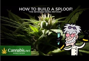 How to Make a Reverse Bong or Sploof