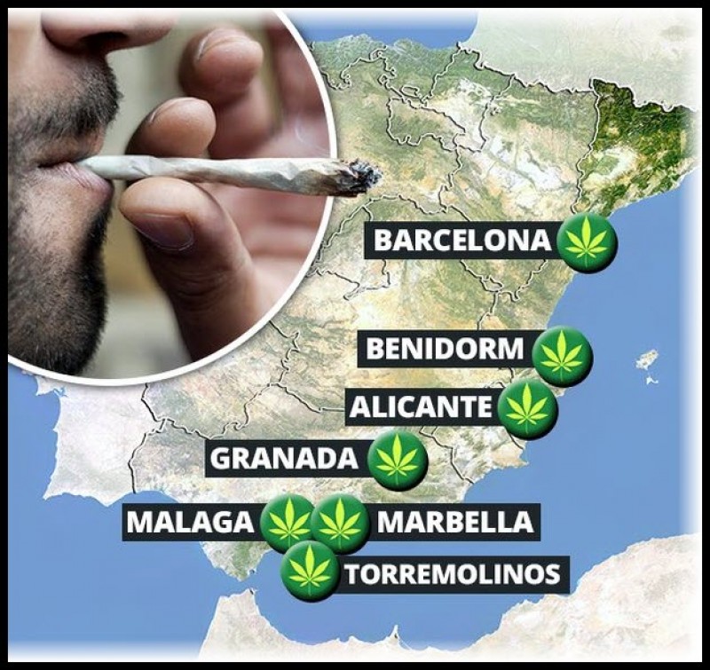 Spain's cannabis social clubs