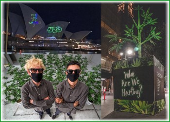 Meet the Aussie Cannabis Activist, Entrepreneur, & Hell Raiser Will Stolk - He Won't Stop Until Australia Legalizes Cannabis