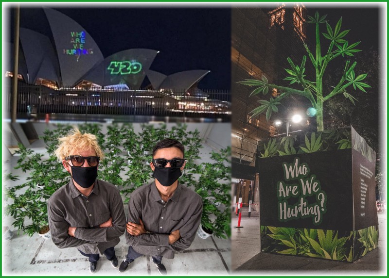 Will Stolk Aussie cannabis activist