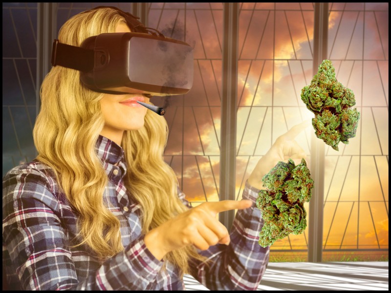 virtual cannabis cup