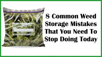 8 Common Weed Storage Mistakes That You Need To Stop Doing Today
