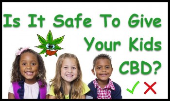 Is CBD Safe for Kids?