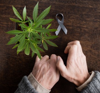 Parkinson's Patients are Self-Medicating with Cannabis, and Seeing Good Results!