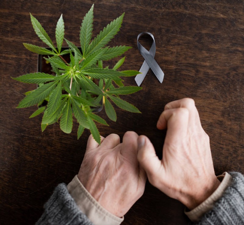 cannabis for parkinsons