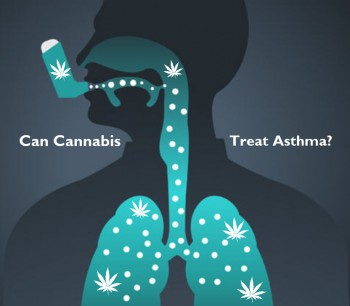 Can Cannabis Treat Asthma?