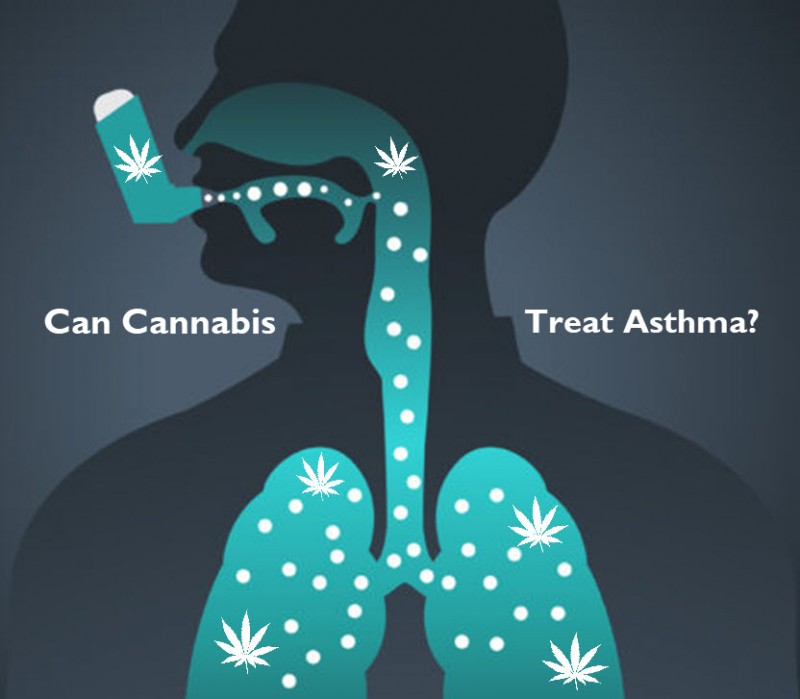 cannabis for asthma