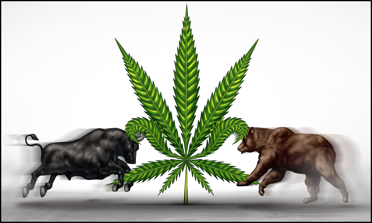 Hoping for Weed Legalization in 2022? Should You BUY, SELL, or HOLD Marijuana Stocks Right Now?