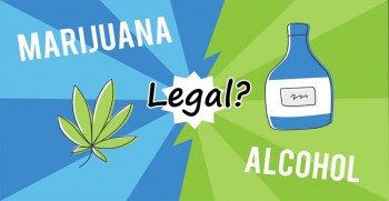 Cannabis Should Be Legal If Alcohol Is Legal