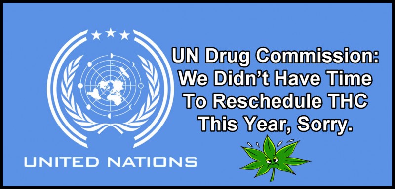UN on THC