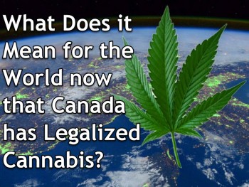 What Does it Mean for the World now that Canada has Legalized Cannabis?