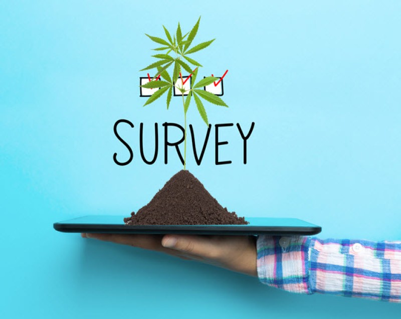 hemp survey by the USDA