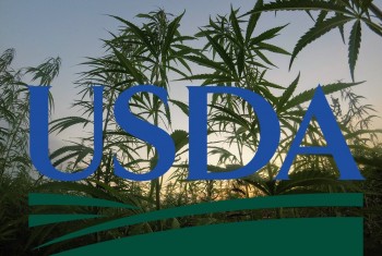 The USDA Approves Colorado's New Hemp Plan, What Does That Mean for Other States?