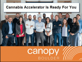 Cannabis Startup Incubator Is Taking Applications