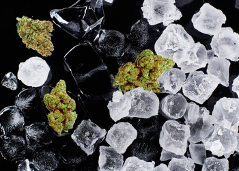 Flash Frozen Weed? - The Guide to Fresh Frozen Cannabis