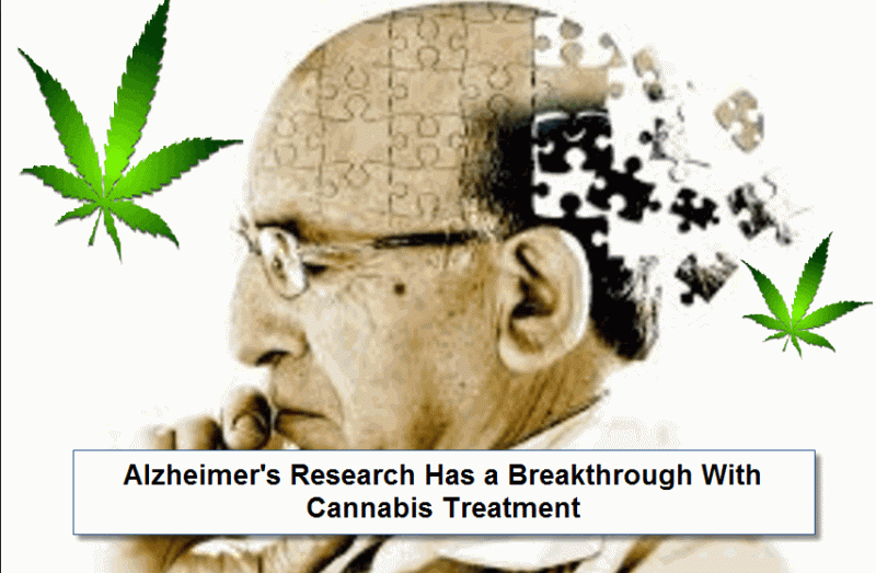 Alzheimer's and Cannabis