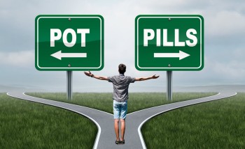 Does Cannabis Boost the Analgesic Benefits of Opioids? - A Canadian Study Sheds Light on Dual Cannabis and Opioid Patients