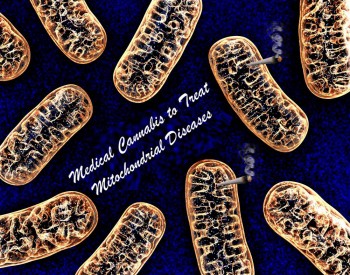 Medical Cannabis to Treat Mitochondrial Diseases