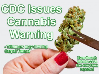 CDC Issues Cannabis Carpal Tunnel Warning
