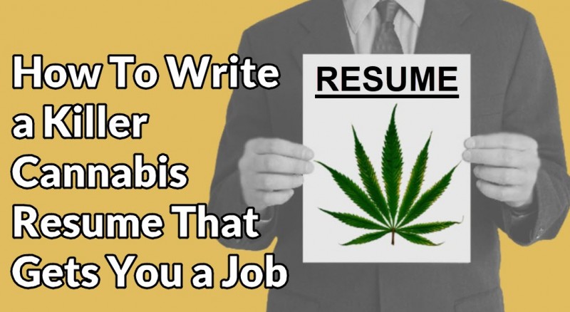 cannabis industry resume