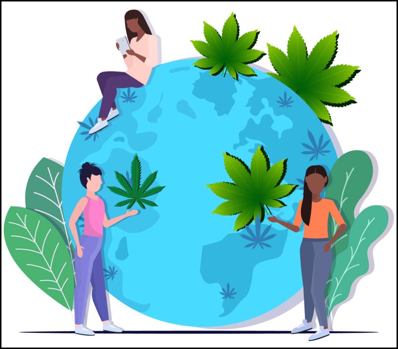 Global cannabis news