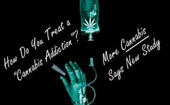How Do You Treat Cannabis Addiction? More Cannabis Says New Study!