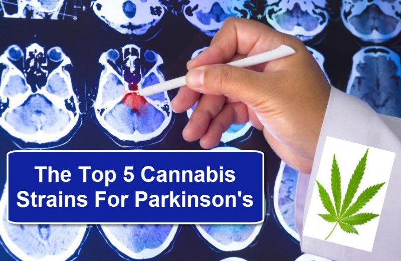 Cannabis and Parkinson's