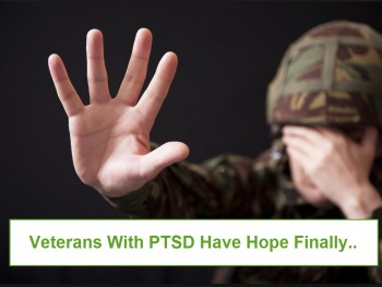 PTSD Treatment For Veterans - A New Leaf Is Turning Over