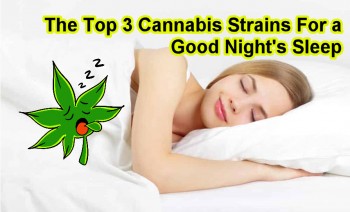 Top 3 Cannabis Strains When You Absolutely Need To Get a Good Night's Sleep