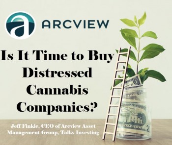 Is It Time to Buy Distressed Cannabis Assets and Companies, Yet?