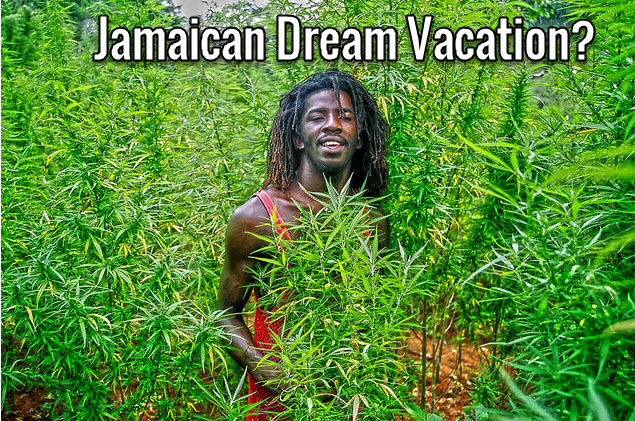 cannabis trip to jamaica