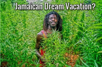 Cannabis Farm Tours In Jamaica Are A Dream Vacation