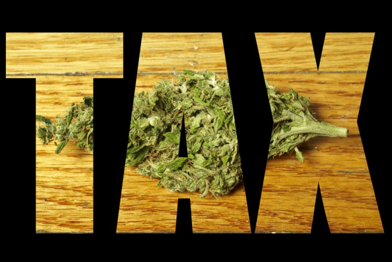marijuan tax revenue