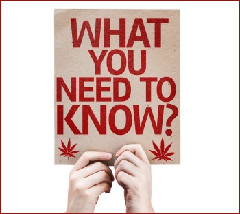Removing Cannabis from the Schedule 1 List of Controlled Substances Could Be Good and Bad