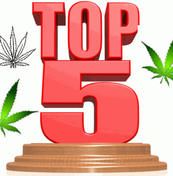 Top 5 Edibles Of 2016 - Cannabis And Marijuana Contest