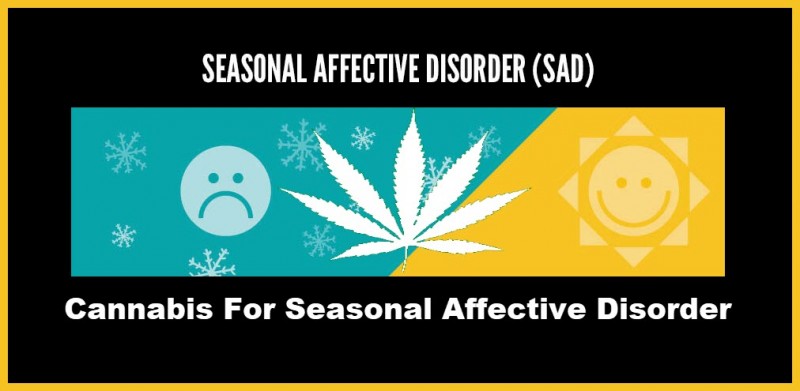 cannabis for seasonal affective disorder
