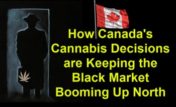 How Canada's Cannabis Decisions are Keeping the Black Market Booming Up North