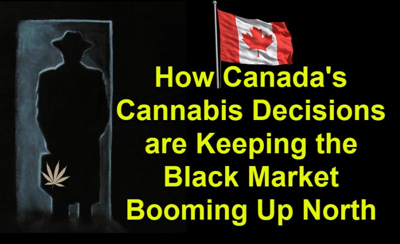 Canada's Black Market