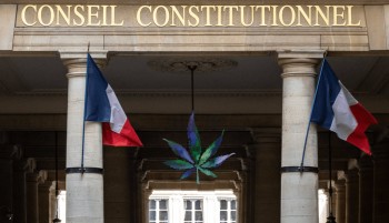 CBD is Neither Addictive Nor Harmful Rules the Constitutional Council of France