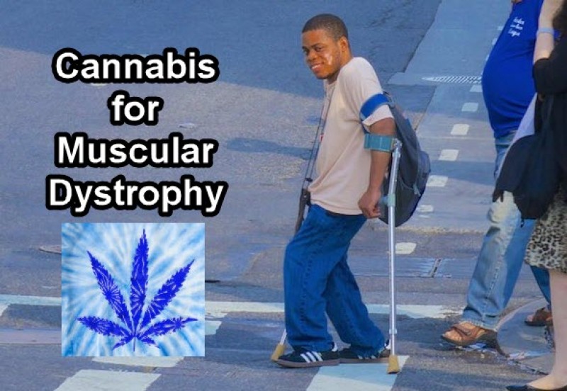 muscular dystrophy and cannabis