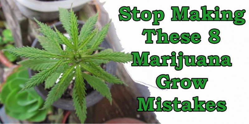 marijuana grow mistakes