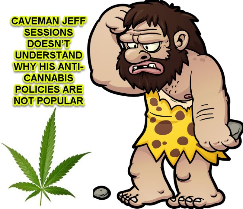 cannabis jeff sessions