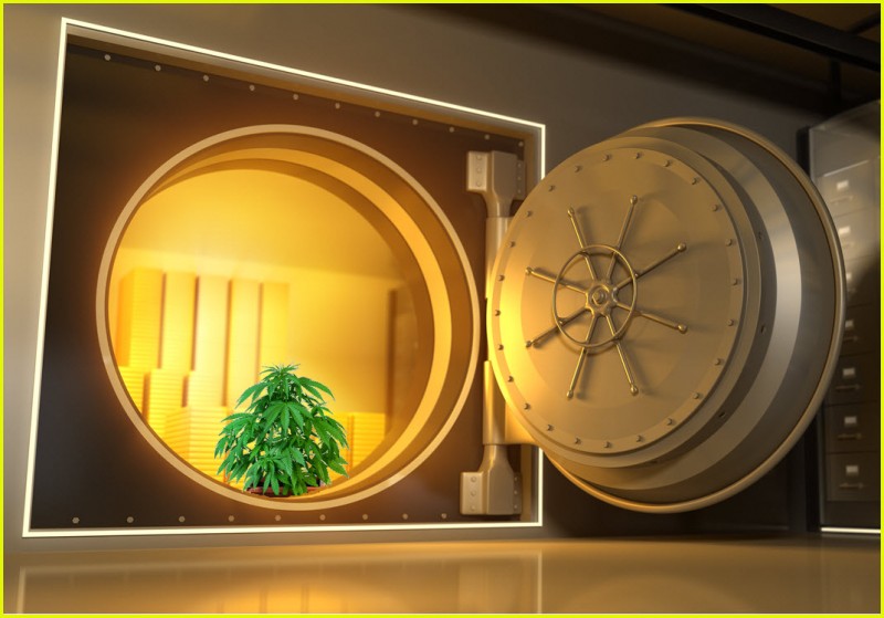 How does cannabis banking work