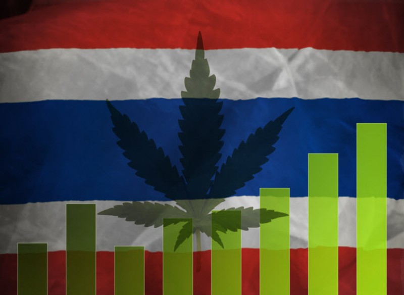 Thailand medical marijuana program