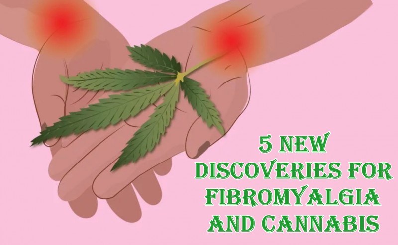 cannabis for fibromyalgia