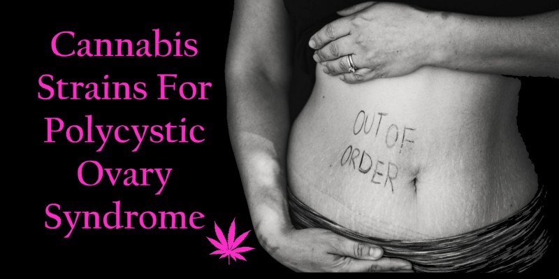 cannabis strains for ovary syndrome