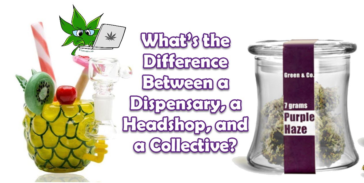 What’s the Difference Between a Dispensary, a and a Collective?